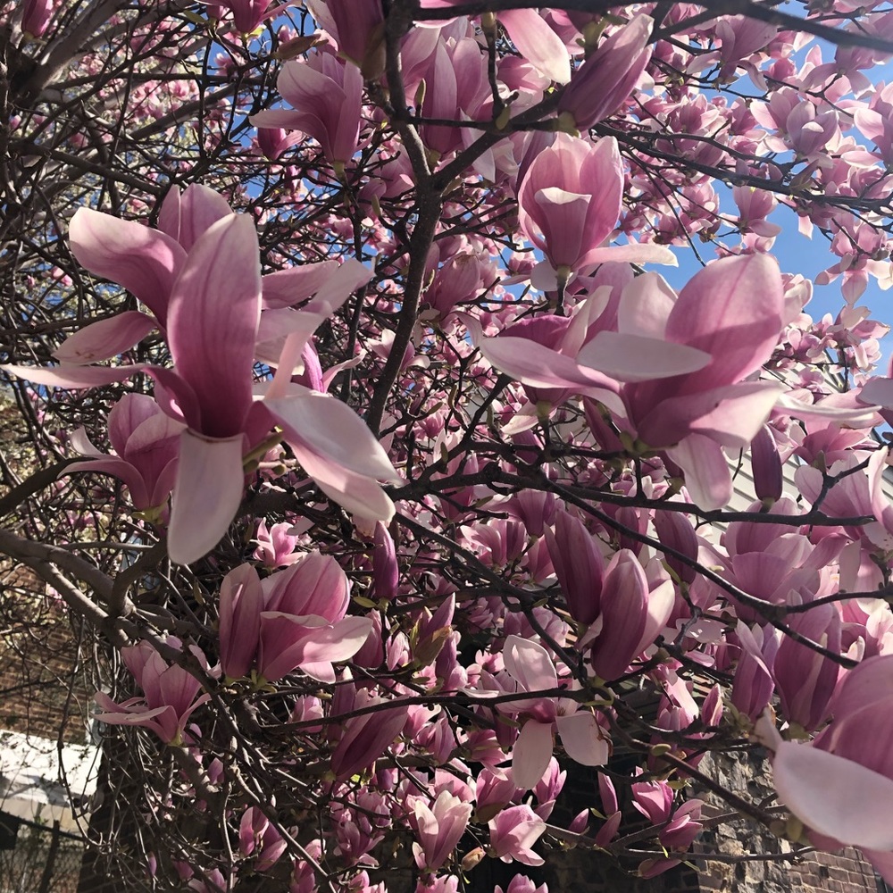 Meet your Posher, Dori